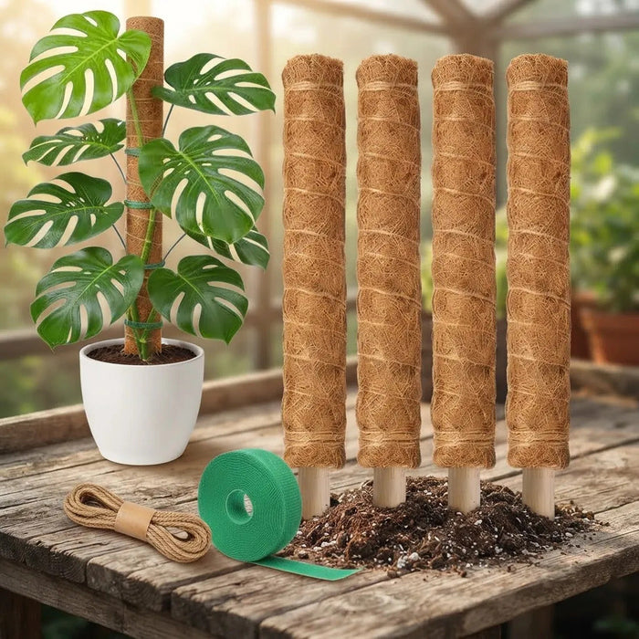 Home & Garden